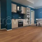 Rent 4 bedroom apartment of 90 m² in Padova