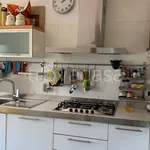 Rent 4 bedroom apartment of 90 m² in Bologna