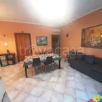 Rent 3 bedroom apartment of 75 m² in Monte Porzio Catone