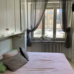 Rent 1 bedroom apartment of 35 m² in Torino