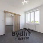 Pronájem bytu 2+1 45m²