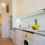 Rent 3 bedroom apartment in porto