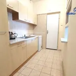 Pronajměte si 4 ložnic/e byt o rozloze 80 m² v Pilsen