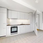 Rent 4 bedroom apartment of 91 m² in Basel