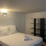 Rent 1 bedroom apartment of 50 m² in Lyon