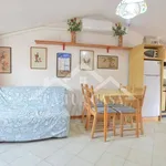 Rent 2 bedroom apartment of 50 m² in Viareggio