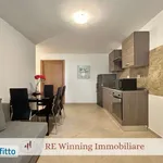 Rent 2 bedroom apartment of 50 m² in Rome