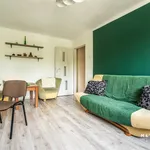 Rent 1 bedroom apartment of 32 m² in Dąbrowa Górnicza