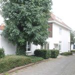 Rent 10 bedroom house of 235 m² in Sittard-Centrum