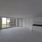 Huur 1 slaapkamer appartement van 80 m² in Gorinchem