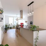 Rent 1 bedroom apartment in Antwerpen