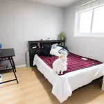 Rent 3 bedroom apartment in 5