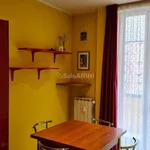 Rent 2 bedroom apartment of 50 m² in Torino