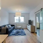 Rent 2 bedroom apartment of 60 m² in berlin