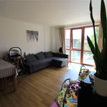 Rent 1 bedroom apartment in Cambridge