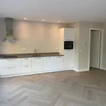 Huur 1 slaapkamer appartement van 70 m² in Landsmeer