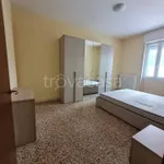 Rent 2 bedroom apartment of 55 m² in Pavia