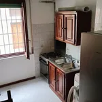 Rent 3 bedroom apartment of 76 m² in Ferrara