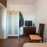 Rent 4 bedroom apartment in Madrid