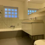 Rent 1 bedroom apartment in Hasselt