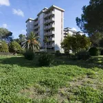 Rent 2 bedroom apartment of 38 m² in Follonica