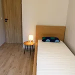 Rent a room of 8 m² in Bydgoszcz