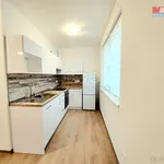 Rent 1 bedroom apartment in Plzeň