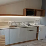 Rent 2 bedroom house of 35 m² in Turin