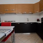 Affitto 1 camera appartamento di 62 m² in Castellammare del Golfo