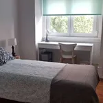 Rent a room in lisbon