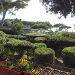 Rent 8 bedroom house of 300 m² in Orbetello