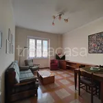 Rent 3 bedroom apartment of 70 m² in Roma