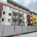 Rent 1 bedroom apartment of 30 m² in Brno