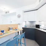 Rent 1 bedroom apartment in Bologna