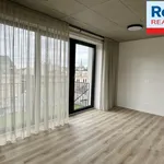 Rent 3 bedroom apartment of 61 m² in Liberec