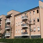 Rent 2 bedroom apartment of 60 m² in Noale