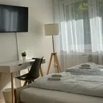 Miete 2 Schlafzimmer wohnung von 55 m² in Nuremberg