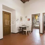 Rent 2 bedroom apartment of 50 m² in Firenze