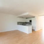 Rent 1 bedroom house of 93 m² in Copenhagen