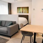  appartement avec 1 chambre(s) en location à Brussels