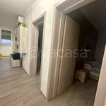 Rent 3 bedroom apartment of 101 m² in Molinella