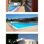 Rent 3 bedroom house of 80 m² in Portalegre