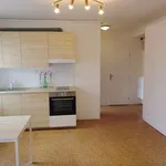 Rent 2 bedroom apartment in Nový Jičín