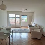 Rent 4 bedroom apartment of 70 m² in Lugano