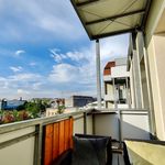 Rent 2 bedroom apartment of 40 m² in Dresden