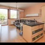 Rent 2 bedroom apartment of 62 m² in Čeladná