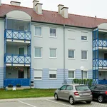 Rent 2 bedroom apartment of 58 m² in Oberwart