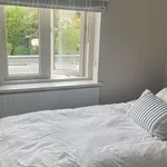 Rent a room of 2500 m² in dublin