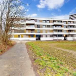 Rent 5 bedroom apartment of 99 m² in Spreitenbach