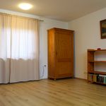 Rent 1 bedroom apartment of 30 m² in Schleiden